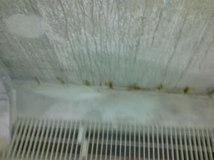 Concrete Tank Leak Repair2