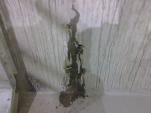 Concrete Tank Leak Repair 3