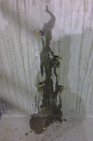 Concrete Water Tank Repairs Melbourne